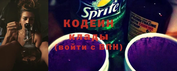 прущие грибы Сафоново