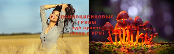 герыч Сатка