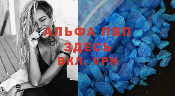 сатива Гатчина